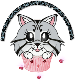 Muffhyms Maine Coon Cattery of Irvine California site logo